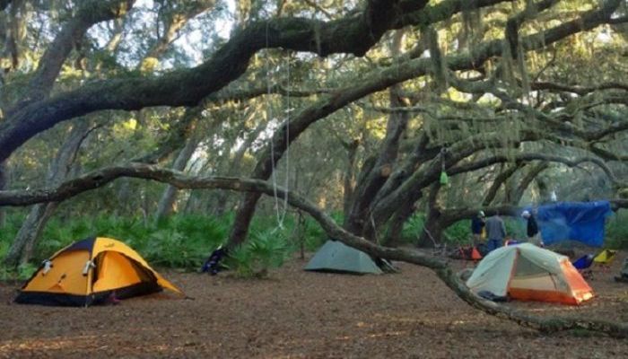 Camping Enthusiasts