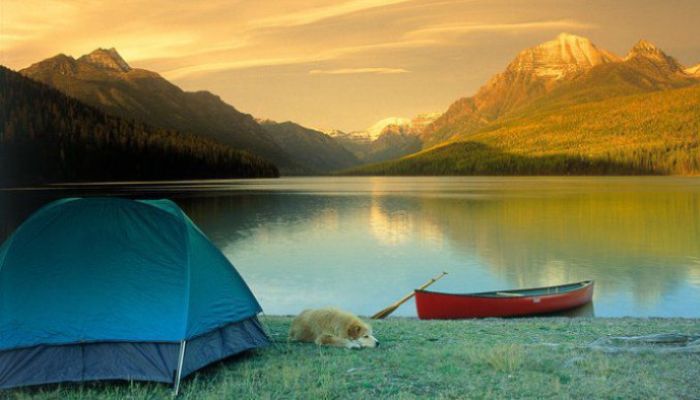 Great Camping Trip