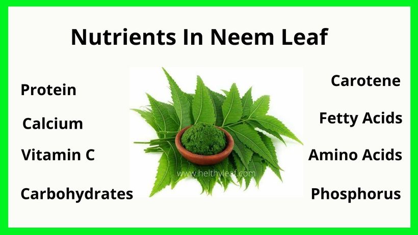 Nutritious value of Neem Leaf