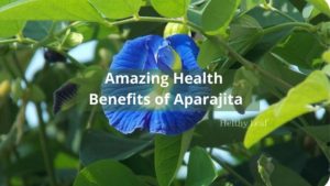 Benefits of Aparajita