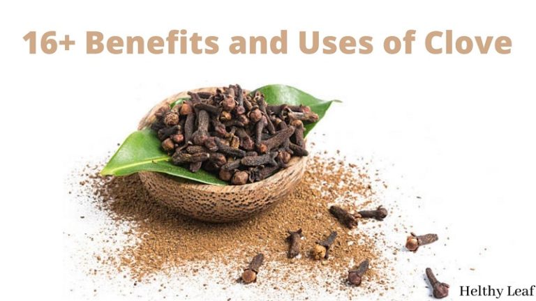 Benefits and Uses of Clove