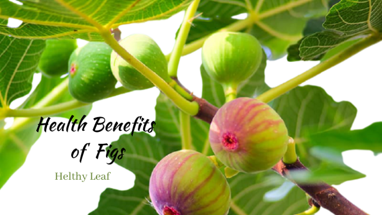 Benefits of Fig - Amazing Health Benefits, Use, and Side Effects