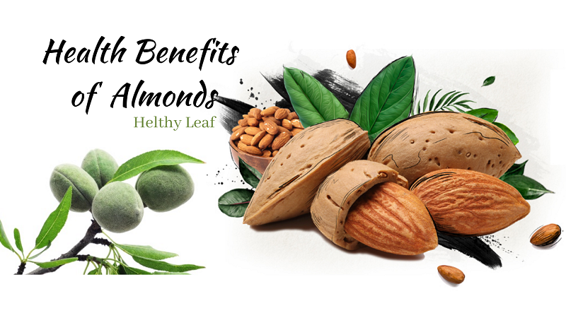 Incredible Benefits of Almonds - Medicinal Properties, Uses, Side Effects