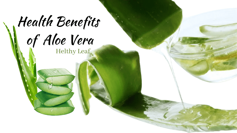 Incredible Role of Aloe Vera in our Health