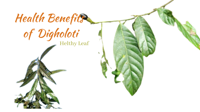 Digholoti Benefits, Assam Traditional and Medicinal Importance