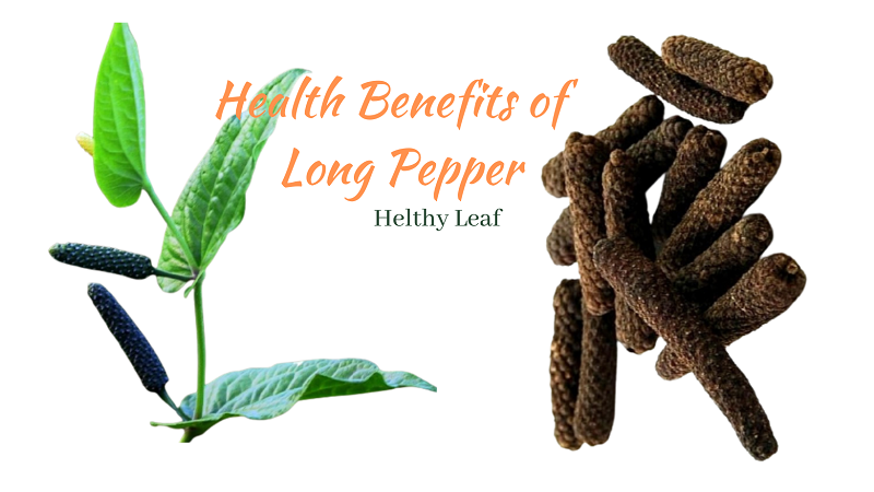 Long Pepper - Amazing Health Benefits, Uses, and Side Effects