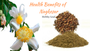 Nagkesar - 20+ Uses, Benefits, Medicinal Qualities, and Side Effects