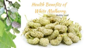 White Mulberry - Uses, Nutrition, Benefits, Side Effects