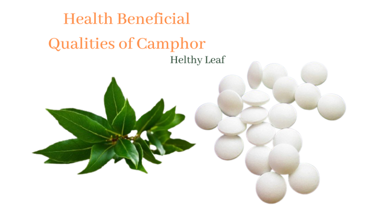 Camphor - Health Benefits, Uses, Qualities, and Side Effects
