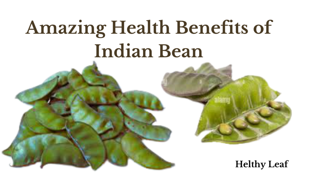 benefits of Indian bean