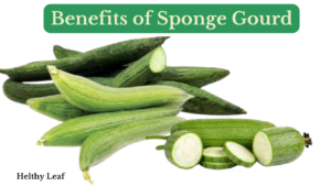 benefits of sponge gourd