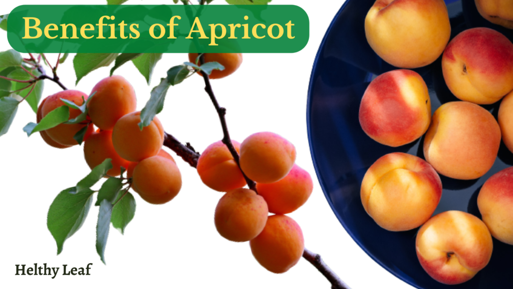 benefits of apricot