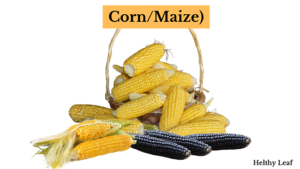 Corn maize