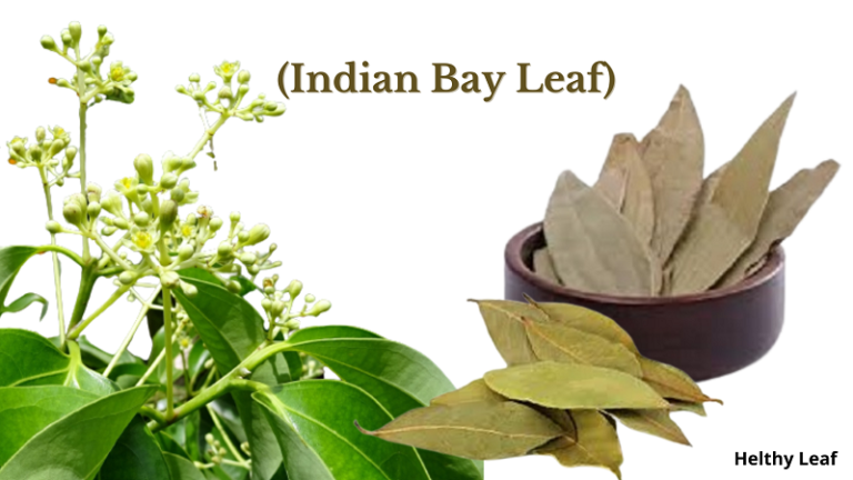 Indian Bay leaf benefits