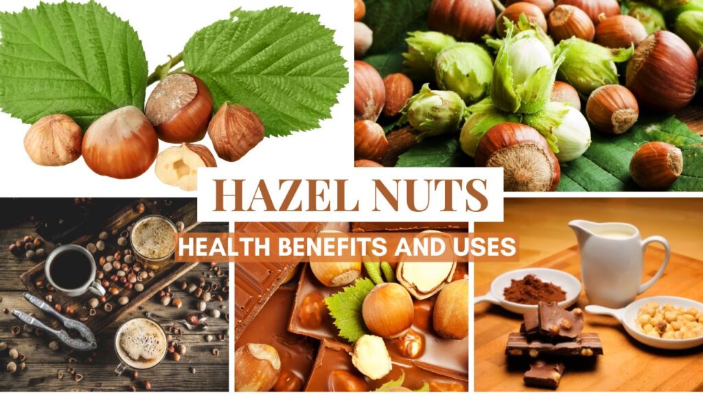Hazelnuts - 11 Ways Benefits Your Health