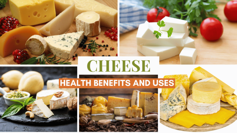 Health benefits of Cheese